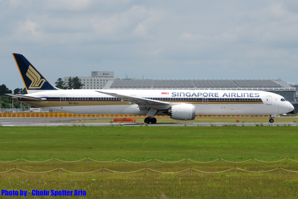 ripiさん用! シンガポール航空／+オレンジほぬ ripiさん用! シンガポール航空／+オレンジほぬ - メルカリ