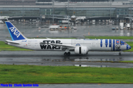Chofu Spotter Ariaさんが、羽田空港で撮影した全日空 787-9の航空フォト（飛行機 写真・画像）