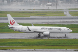 Nanoeさんが、羽田空港で撮影した日本航空 737-846の航空フォト（飛行機 写真・画像）