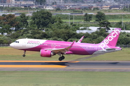 エアバスA320-251N 製造番号:11495 徹底ガイド | FlyTeam(フライ