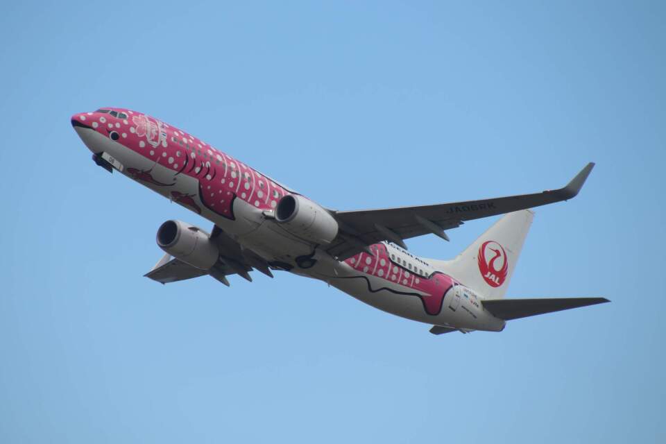 日本トランスオーシャン航空 Boeing 737-800 JA06RK 仙台空港