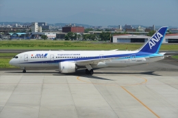 1/400 JA817A ANA 全日本空輸 B787-8 Amazon.co.jp: ANA B787-8 JA817A 1/400 飛行機模型 : おもちゃ