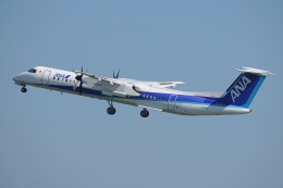 航空機・ヘリコプター BOEING 787-8 ANA JA817A B787 Circling Approach] ANA Boeing 787-8 Dreamliner JA817A