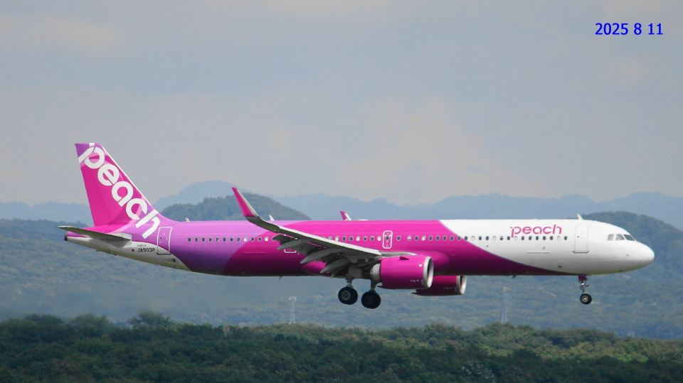 ピーチ Airbus A321neo JA903P 新千歳空港 航空フォト | by