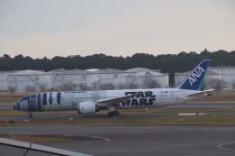 山形銀つばさんが、成田国際空港で撮影した全日空 787-9の航空フォト（飛行機 写真・画像）