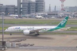 機体記号 : JA874A (ANA) 航空機体ガイド | FlyTeam(フライチーム)