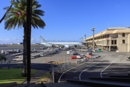 norimotoさんが、ダニエル・K・イノウエ国際空港で撮影したジップエア 787-8 Dreamlinerの航空フォト（飛行機 写真・画像）