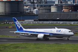 1/400 JA817A ANA 全日本空輸 B787-8 Amazon.co.jp: ANA B787-8 JA817A 1/400 飛行機模型 : おもちゃ