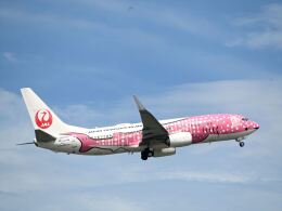 さくら　 JALUX 737-800w JTA 日本トランスオーシャン航空 特別塗装