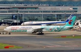 インドエア B777-300 特別塗装機 インドエア B777-300 特別塗装機 - メルカリ