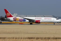 吉祥航空 B787-9 『原神号』特別塗装 JC Wings 1/400 吉祥航空 B787-9 『原神号』特別塗装 JC Wings 1/400 - メルカリ