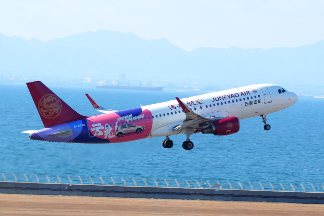 マクドネル・ダグラス DC-9 ガルーダ・インドネシア航空 航空