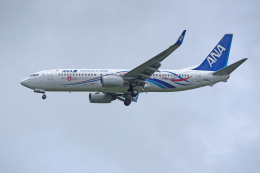 apphgさんが、静岡空港で撮影した全日空 737-881の航空フォト（飛行機 写真・画像）