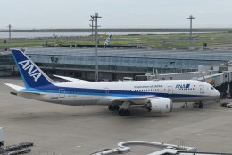 成田市制施行70周年記念」特別塗装機 全日空 (787-8 ドリーム