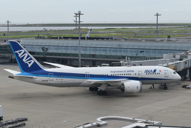 機体記号 : JA820A (ANA) 特別塗装機「成田市制施行70周年記念