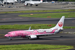 さくら　 2代目 さくらジンベエジェット」特別塗装機 日本トランス