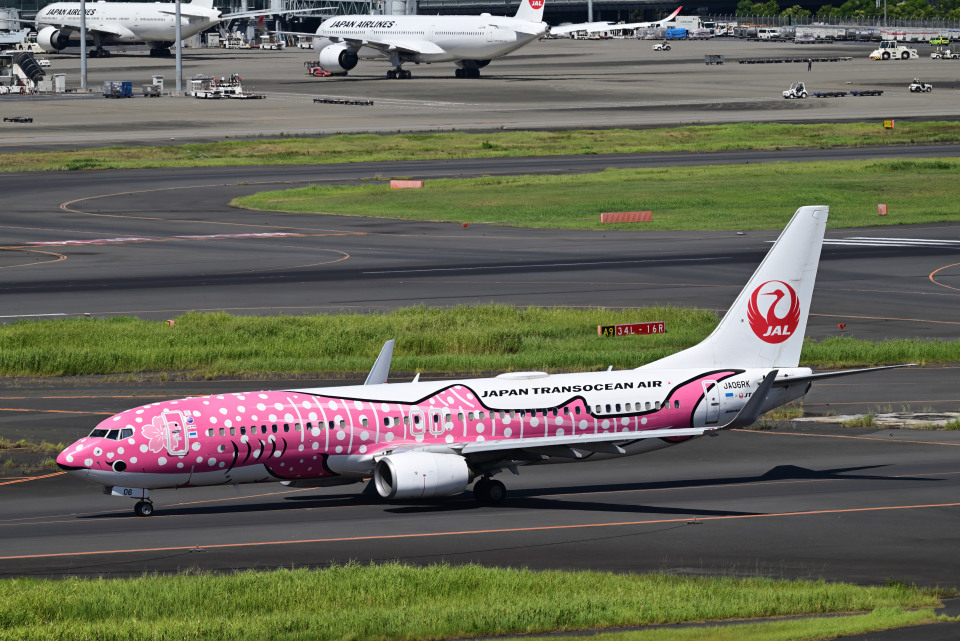 日本トランスオーシャン航空 Boeing 737-800 JA06RK 羽田空港