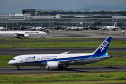 ボーイング787-8 ドリームライナー 航空機 徹底ガイド | FlyTeam