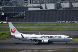 日本航空のユニホーム 61rVz5T2qeL._UF350,350_QL80_.jpg
