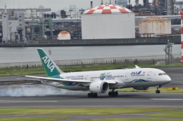 JA01AN / JA874A あさひろ JA01AN / JA874A あさひろ JA01AN / JA874A あさひろ 全日空