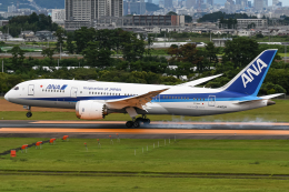 ANA (全日空) 機材一覧 ボーイング787-8 ドリームライナー
