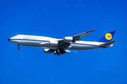 超レア❣️ルフトハンザ B747-8\"60周年記念レトロ\"塗装機❣️ 60周年レトロ」特別塗装機 ルフトハンザドイツ航空 (747-8 | D