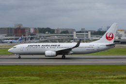 TKM17さんが、伊丹空港で撮影した日本航空 737-846の航空フォト（飛行機 写真・画像）
