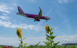 ひげじいさんが、仙台空港で撮影したピーチ A320-251Nの航空フォト（飛行機 写真・画像）
