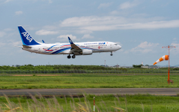 ひげじいさんが、仙台空港で撮影した全日空 737-881の航空フォト（飛行機 写真・画像）