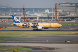 JA743A確認 機体記号 : JA743A (ANA) 航空機体ガイド | FlyTeam(フライチーム)