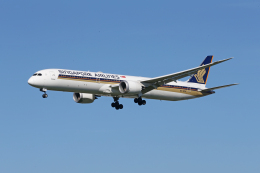 tsubameさんが、福岡空港で撮影したシンガポール航空 787-10の航空フォト（飛行機 写真・画像）