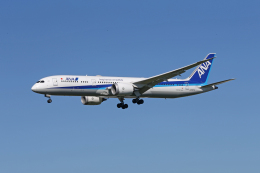 tsubameさんが、福岡空港で撮影した全日空 787-9の航空フォト（飛行機 写真・画像）