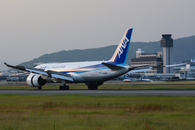 ドリームライナーです！！ ANA (全日空) 機材一覧 ボーイング787-8 ドリームライナー