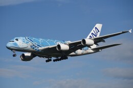 フライングホヌ ラニ/1号機」特別塗装機 全日空 (A380 | JA381A