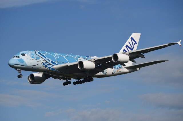 ANA フライングホヌ 1号機 A380-800 JA381A av ANA フライングホヌ 1号機 A380-800 JA381A av - メルカリ