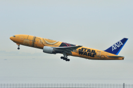 JA743A確認 機体記号 : JA743A (ANA) 航空機体ガイド | FlyTeam(フライチーム)