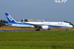 航空機・ヘリコプター B 787-9 1/400 B787-9 ANA 主翼空中姿勢 羽田空港Takeoffベース付属