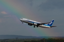 ZINDSUMEさんが、新千歳空港で撮影した全日空 737-8ALの航空フォト（飛行機 写真・画像）