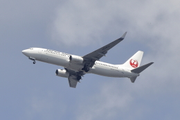 ばんちゃさんが、伊丹空港で撮影した日本航空 737-846の航空フォト（飛行機 写真・画像）