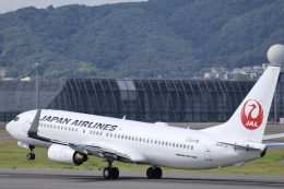 Fly Yokotayaさんが、伊丹空港で撮影した日本航空 737-846の航空フォト（飛行機 写真・画像）