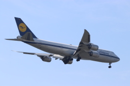 imosaさんが、羽田空港で撮影したルフトハンザドイツ航空 747-830の航空フォト（飛行機 写真・画像）