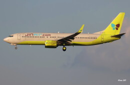 RINA-281さんが、成田国際空港で撮影したジンエアー 737-8SHの航空フォト（飛行機 写真・画像）