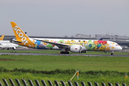 ピカチュウジェットTR」特別塗装機 スクート (787-9 | 9V-OJJ