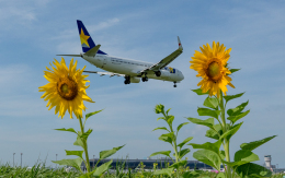 ひげじいさんが、仙台空港で撮影したスカイマーク 737-881の航空フォト（飛行機 写真・画像）