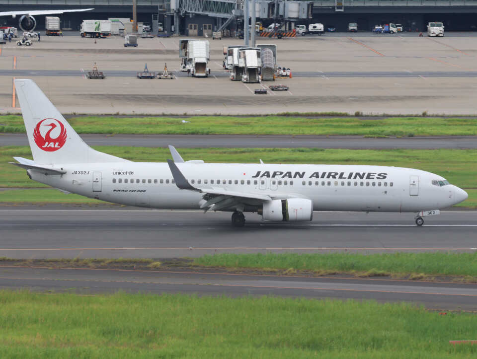 JAL B737-800 がんばろう日本 JA302J　 希少品！unused B737-800 JALエクスプレス 『がんばろう日本』 JA302J (完成品