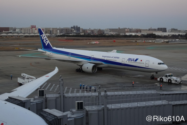 ANA (全日空) 機材一覧 運用中 ボーイング787-8 ドリーム