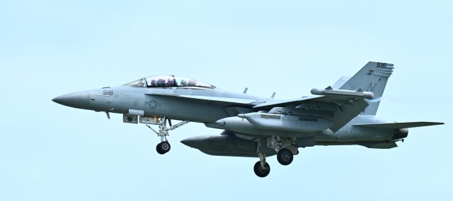 オカリンさんが、嘉手納飛行場で撮影したアメリカ海軍 EA-18G Growlerの航空フォト（飛行機 写真・画像）