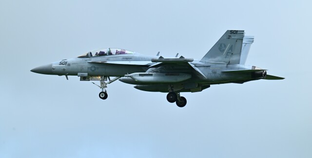 オカリンさんが、嘉手納飛行場で撮影したアメリカ海軍 EA-18G Growlerの航空フォト（飛行機 写真・画像）