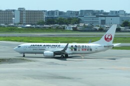 機体記号 : JA337J (JAL) 特別塗装機「奄美・沖縄 世界自然遺産