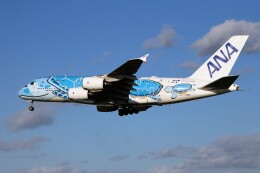 フライングホヌ ラニ/1号機」特別塗装機 全日空 (A380 | JA381A